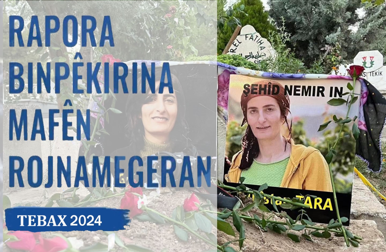 RAPORA DFG'É YA BINPÊKIRINA MAFÊN ROJNAMEGERAN A MEHA TEBAXÊ YA 2024'AN