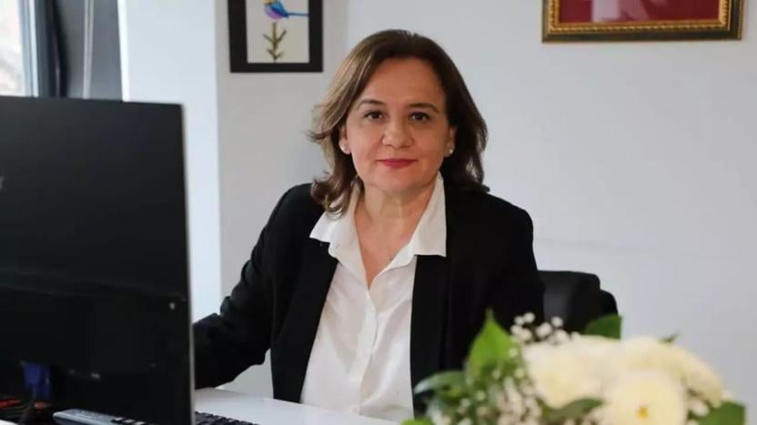 Gazeteci Çiğdem Toker'e soruşturma