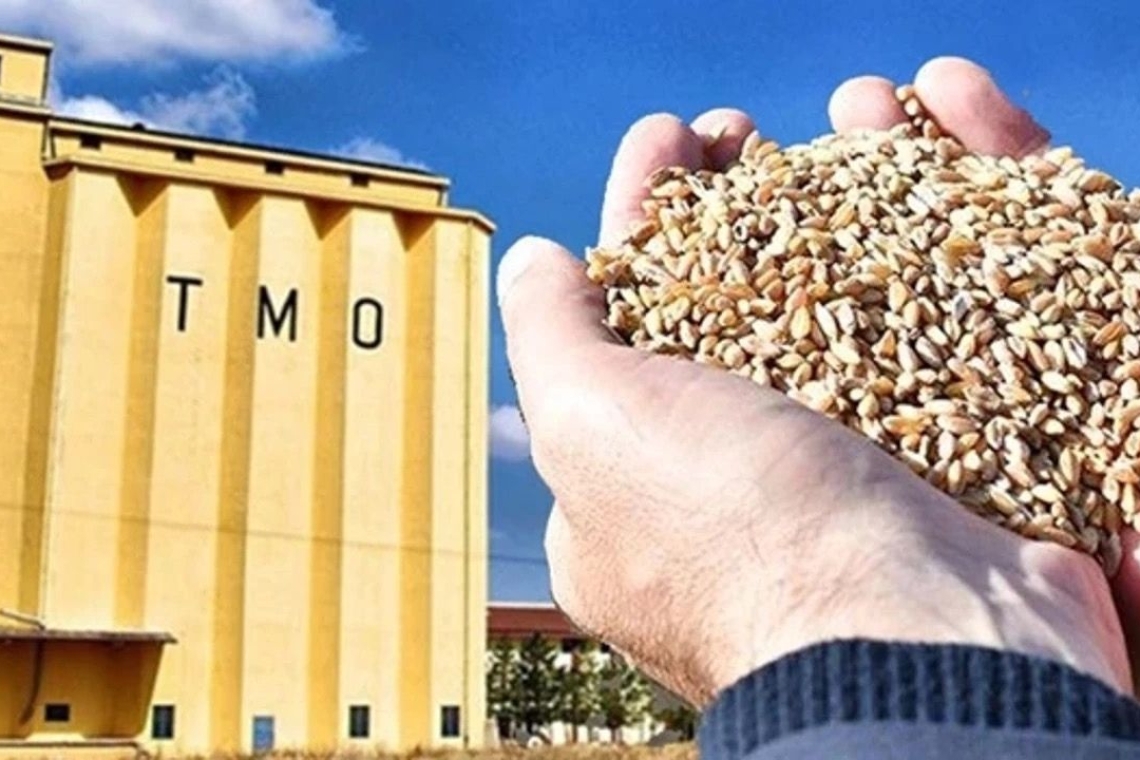 Gazeteci Mehmet Oflaz'ın yargılandığı dava görüldü